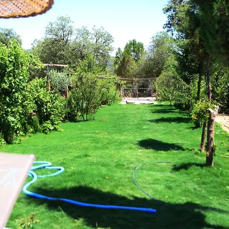 Villa Rosemary Kas *